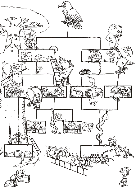 Creatures from the Zoo