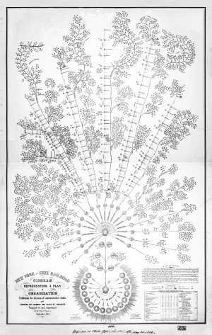 Org Chart 1